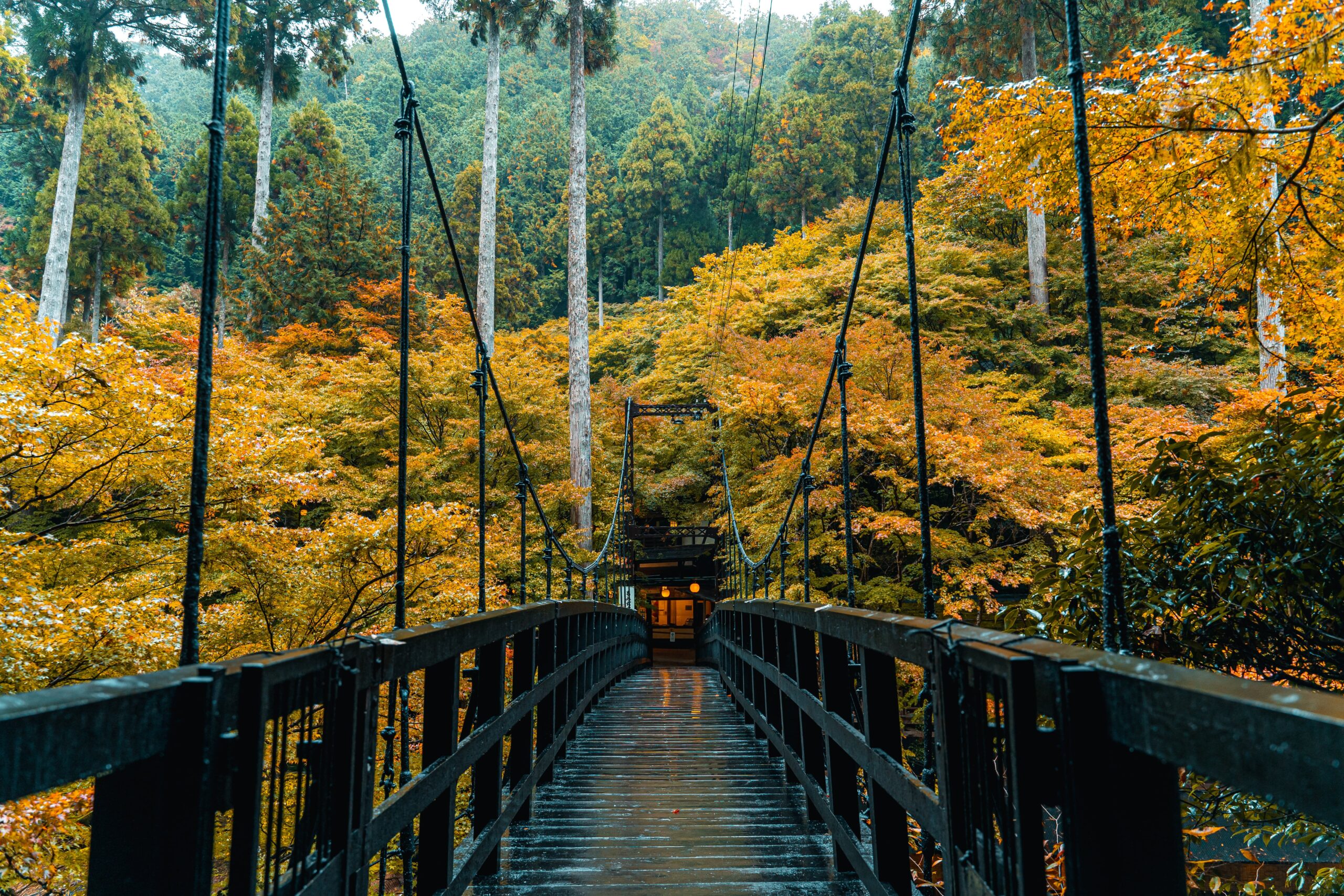 Takao | Well-Being KYOTO